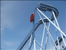 Griffon at Busch Gardens Europe